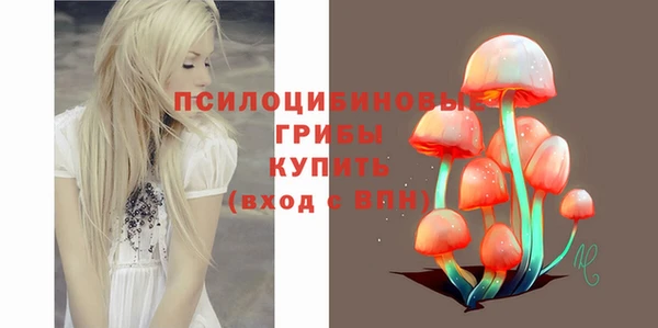 соль ск Алексин