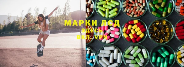 стафф Аркадак