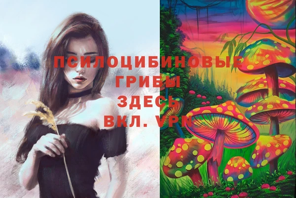 бутират Алексеевка