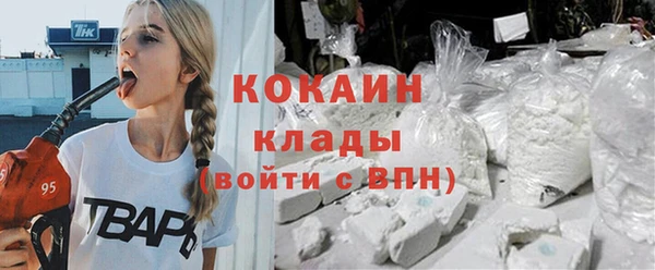 соль ск Алексин