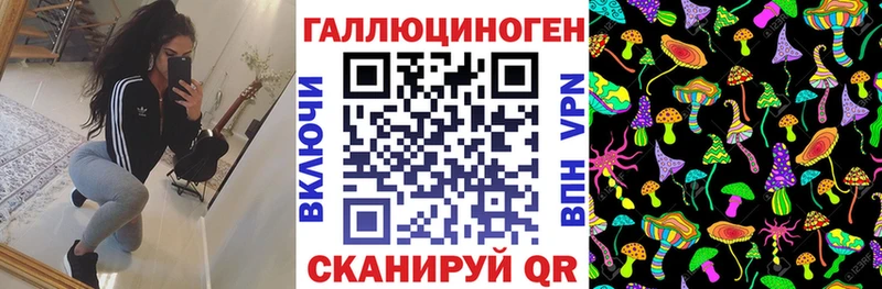 купить mega вход Псилоцибиновые грибы прущие грибы Камызяк