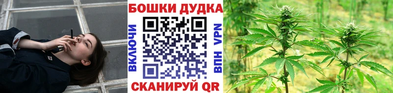 где продают наркотики  Камызяк  Бошки марихуана White Widow 